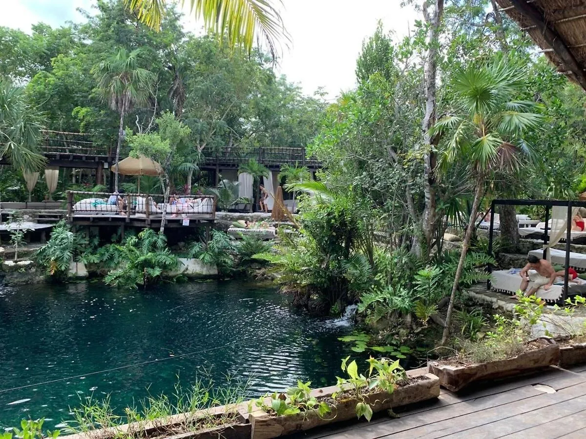 Hippie Artisan Jungle Flat Pool Appartement Tulum Pueblo Mexico